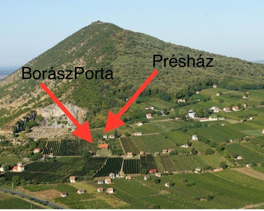 Boraszporta - Preshaz Hotel Villány Exterior foto